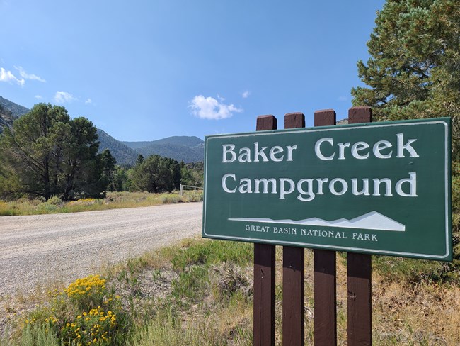 Large Green sign saying "Baker Creek Campground" next to yellow wildflowers and a road with blue skies.