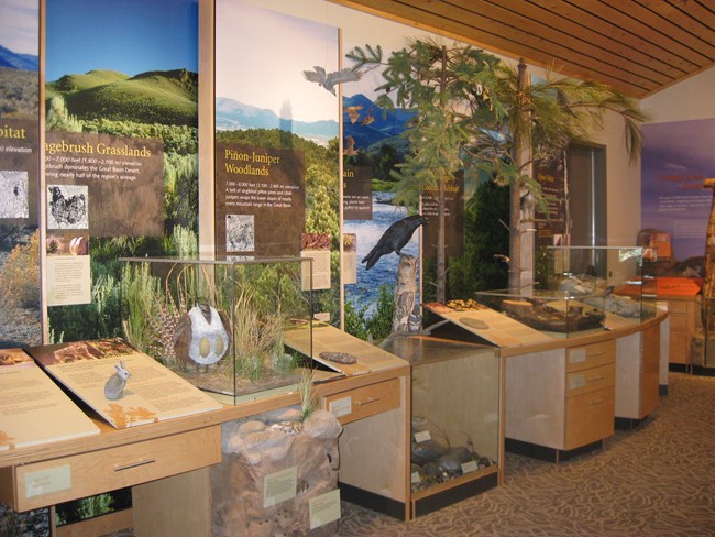 life zones exhibit at the Great Basin Visitor Center