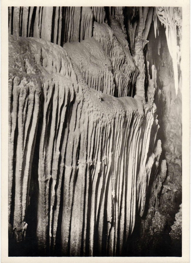 Lehman Caves--The Pipe Organ A series of cave draperies in a black and white photo