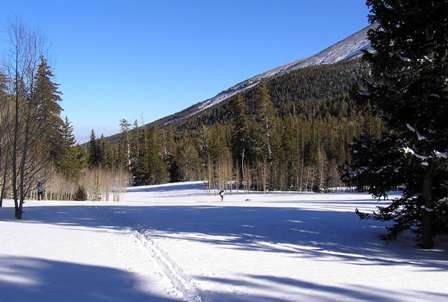 Ski tracks in the snow