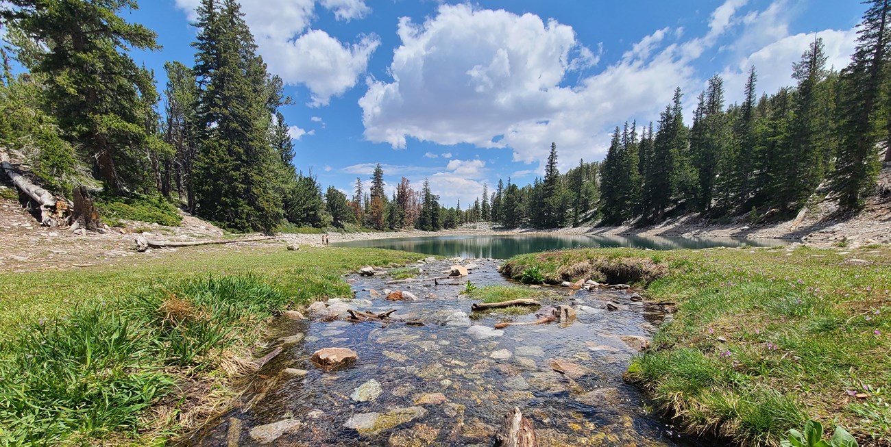 A small creek flows into a green lake. The creek is flanked on iether side by short green grasses and is filled with small stones and tree bits of various shapes. Trees surround the lake, and blue skies with enormous fluffy white clouds hang still above.