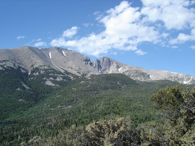 Wheeler Peak against a blue sky