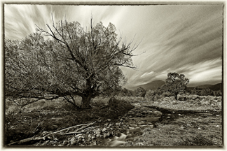 Great Basin Night Sky Reinterpreted