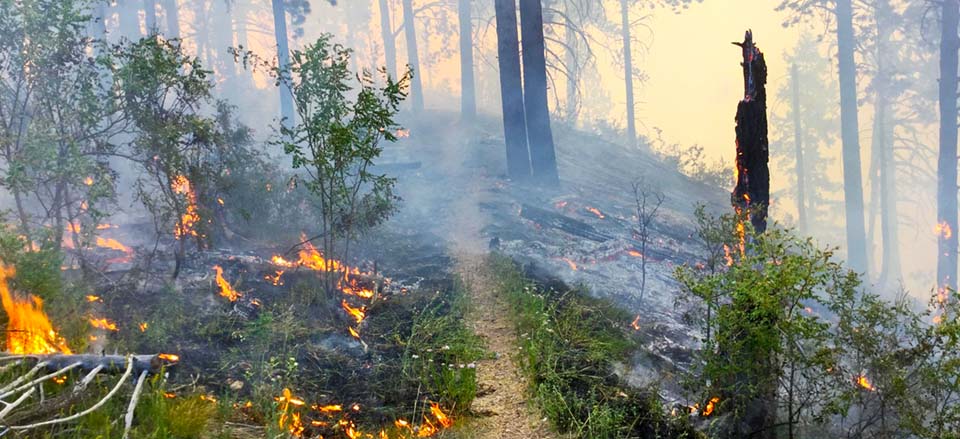 Remains of forested hillside smoldering in the aftermath of wildfire. Air is full of smoke and small flames continue burning in the foreground