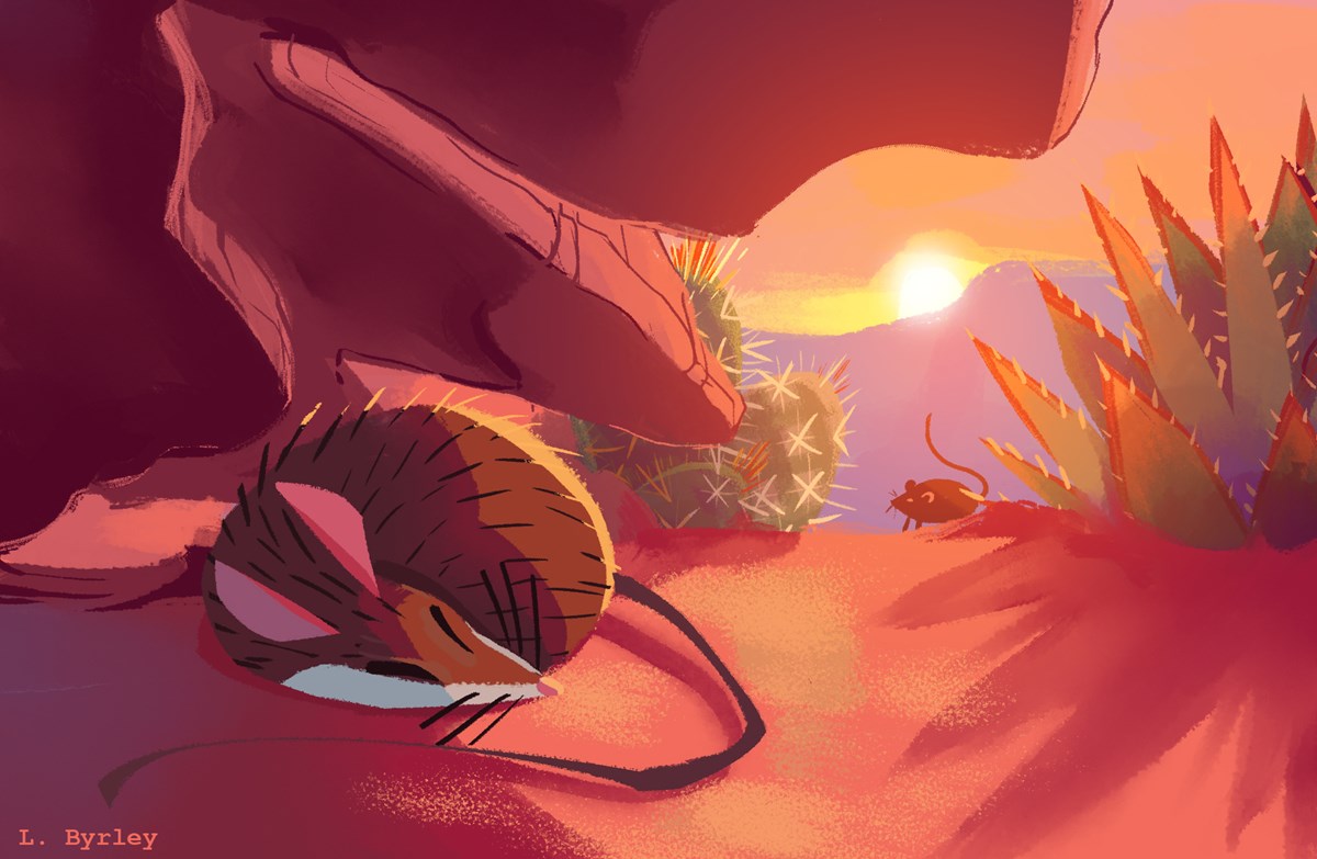 sunset. desert landscape bathed in reddish-orange light. One mouse is sleeping under a rock. second mouse approaching from the distance between cacti. sunset. desert landscape bathed in reddish-orange light. One mouse is sleeping under a rock. second mouse approaching from the distance between cacti.