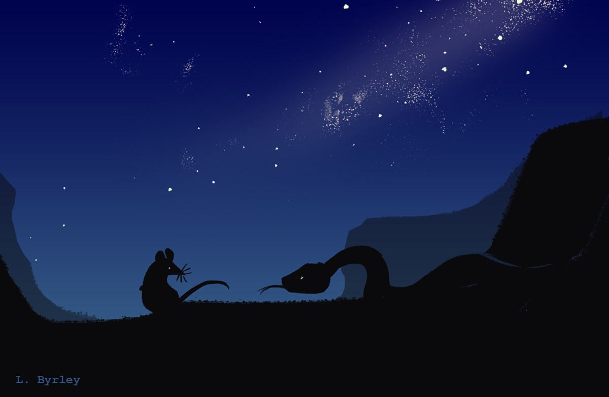 Nighttime. Silhouettes of a mouse and a rattlesnake with canyon cliffs and a starry sky above Nighttime. Silhouettes of a mouse and a rattlesnake with canyon cliffs and a starry sky above