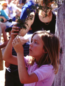 Young botonist at work