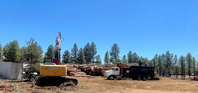 Preparing trees to be hauled to Tribes A pile of downed trees are stacked and delimbed in preparation of being hauled away