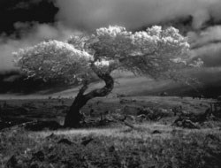 photograph by Michael Miner