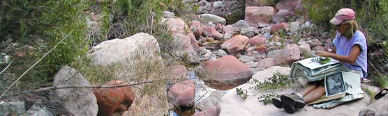 Researcher collecting plants in Grand Canyon National Park.