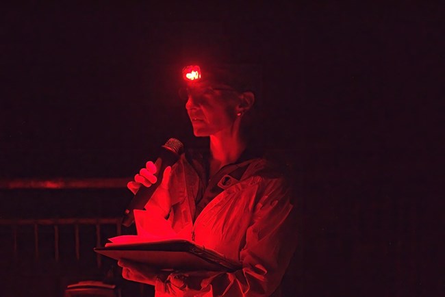 A woman stands in the dark, lit up only by red lights. She holds a microphone and a leger.