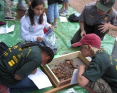 Students sifting for artifacts. Students sifting for artifacts.
