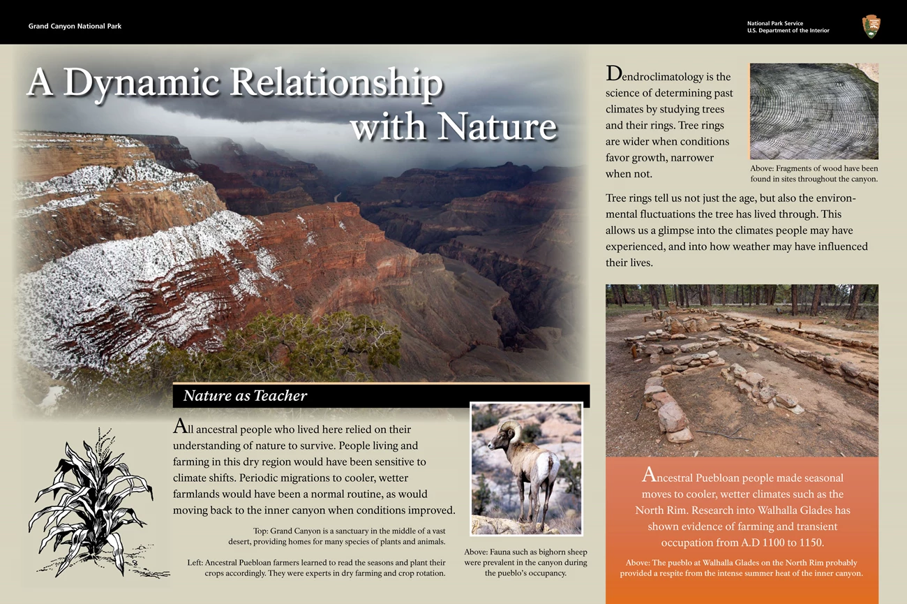 3BA_Pueblo exhibit panel 3BA_Pueblo: A Dynamic Relationship with Nature: nature was a teacher for Ancestral People who learned to farm this dry region. Also, dendroclimatology - how tree rings show climate variation. How they lived in different places depending upon the season.