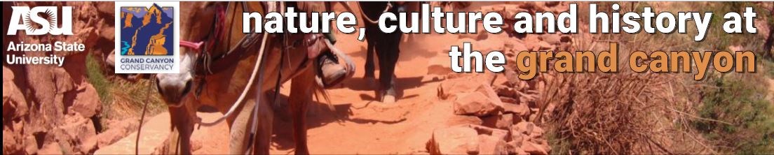 Banner image linking to ASU Nature, Culture and History at the Grand Canyon shows Grand Canyon mules on a trail with superimposed letters: ASU Nature, Culture and History at the Grand Canyon