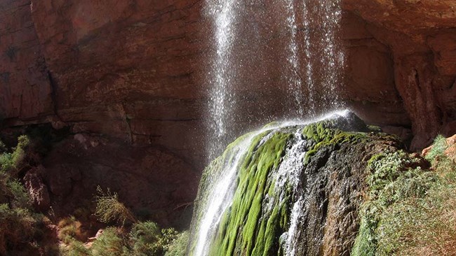 At Ribbon Falls - A waterfall lands on mossy rocks in front of a cliff face.