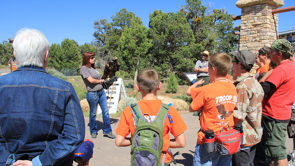 Learn About the Park - Grand Canyon National Park (U.S. National Park ...