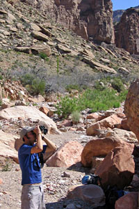 River Ranger Crew Blog- Fall 2008 - Grand Canyon National Park (U.S ...