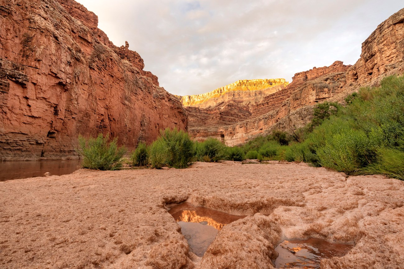 A view of the ground and vegetation adjacent to a river with canyon walls in the background.