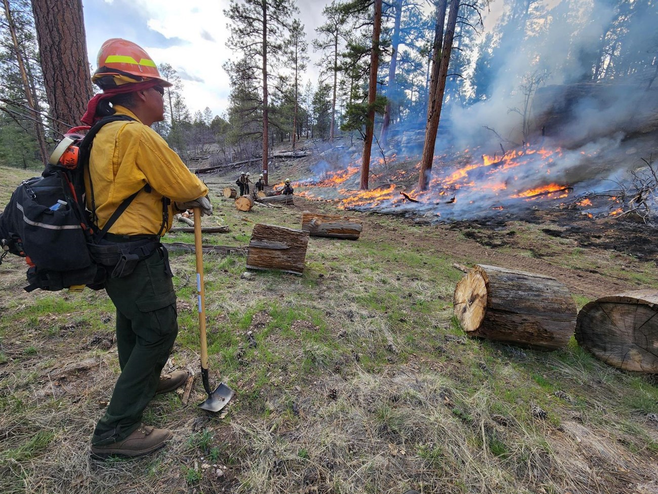 a firefighter watches a low intensity forest fire