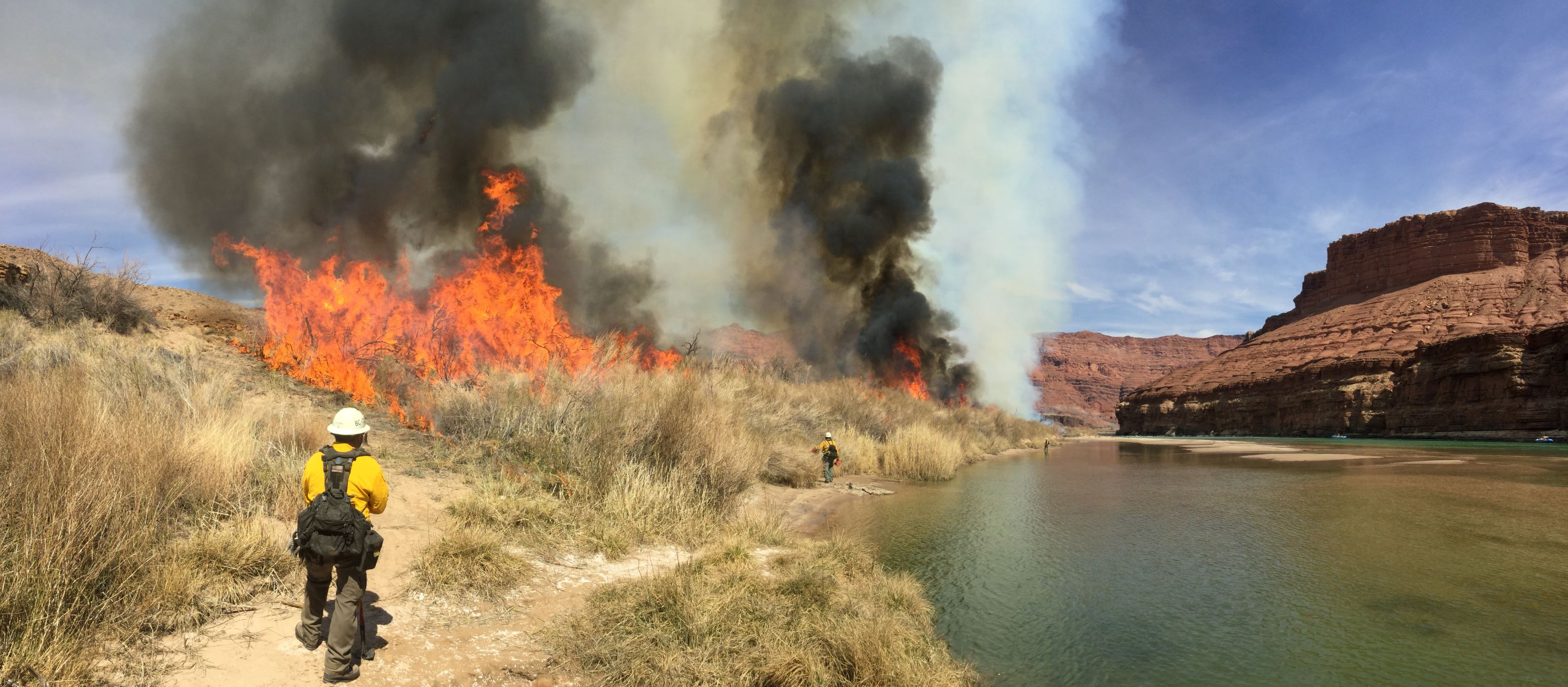 Fire Information and Management - Grand Canyon National Park (U.S. National Park Service)