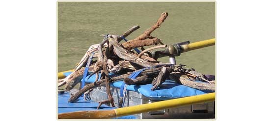 Collection season for driftwood has changed.
