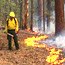 firefighter monitors flaming front
