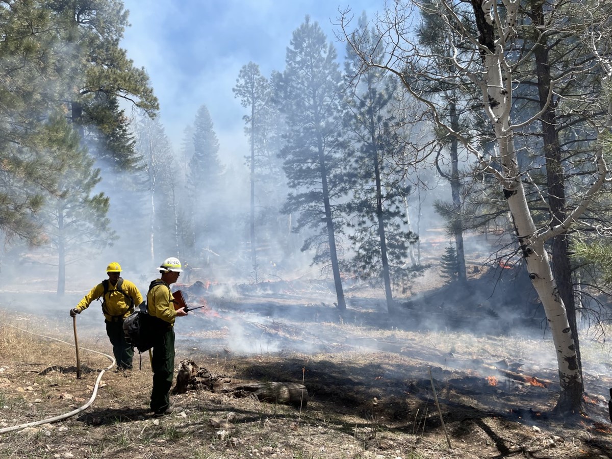 Two wildland firefighters conduct a prescribed burn in an open meadow on the North Rim in May 2021. Tall ponderosa pine trees can be seen along the meadow.