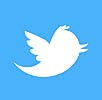 Twitter logo of white bird on blue background