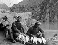 grca 15774 historic photo of men holding a string of chub they caught