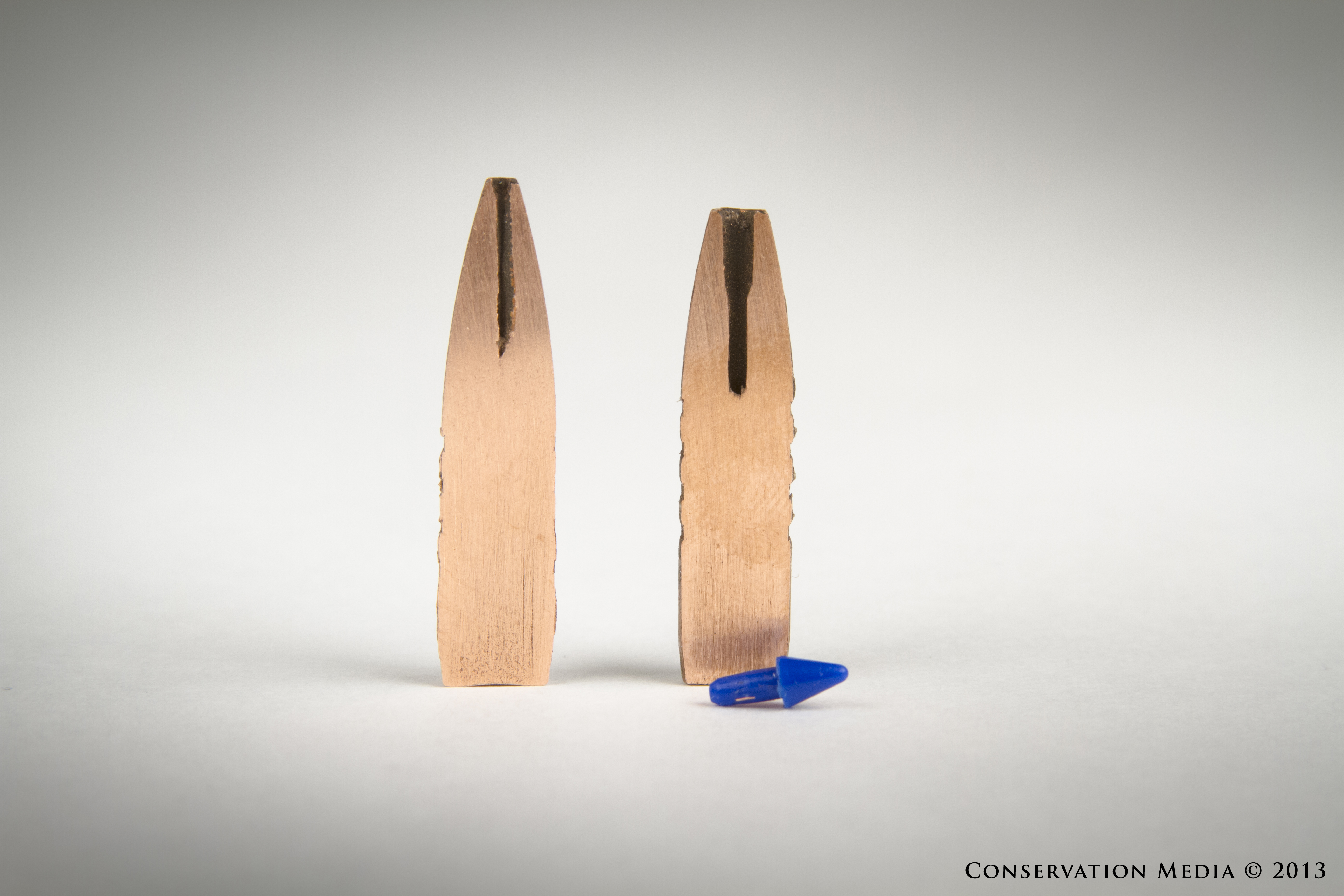 Cavity-Comparison-03-Edited.jpg?maxwidth\u003d1300\u0026maxheight\u003d1300\u0026autorotate\u003dfalse\u0026format\u003dwebp