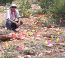 Ben working on the flameflower relocation project.