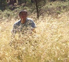 Deon Ben collecting seeds.