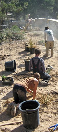 SCA Native Plant Corps Team at work