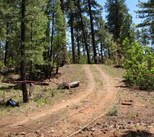 historic road to become greenway trail