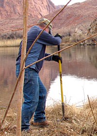 Volunteer at work digging in camp.