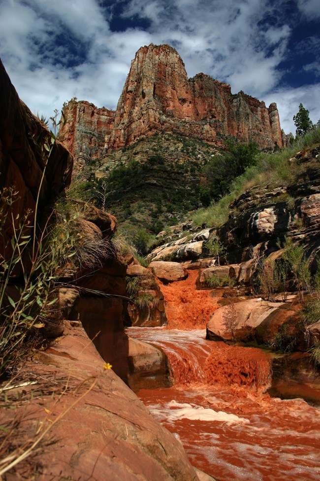 Bright Angel Creek during summer monsoons.