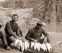 Men sit next to a string of killed Humpack Chub along the Colorado River.
