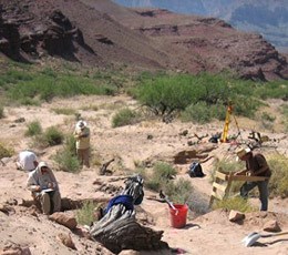 Archeologists working at Palisades.