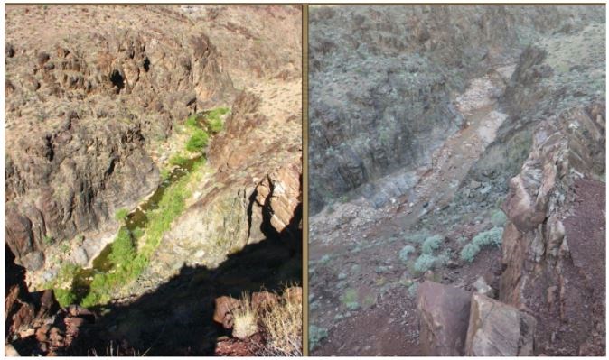 Shinumu Creek before and after the Galahad Fire