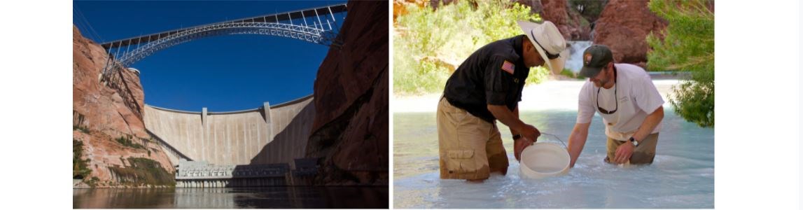 Glen Canyon Dam and Translocating Humpback Chub