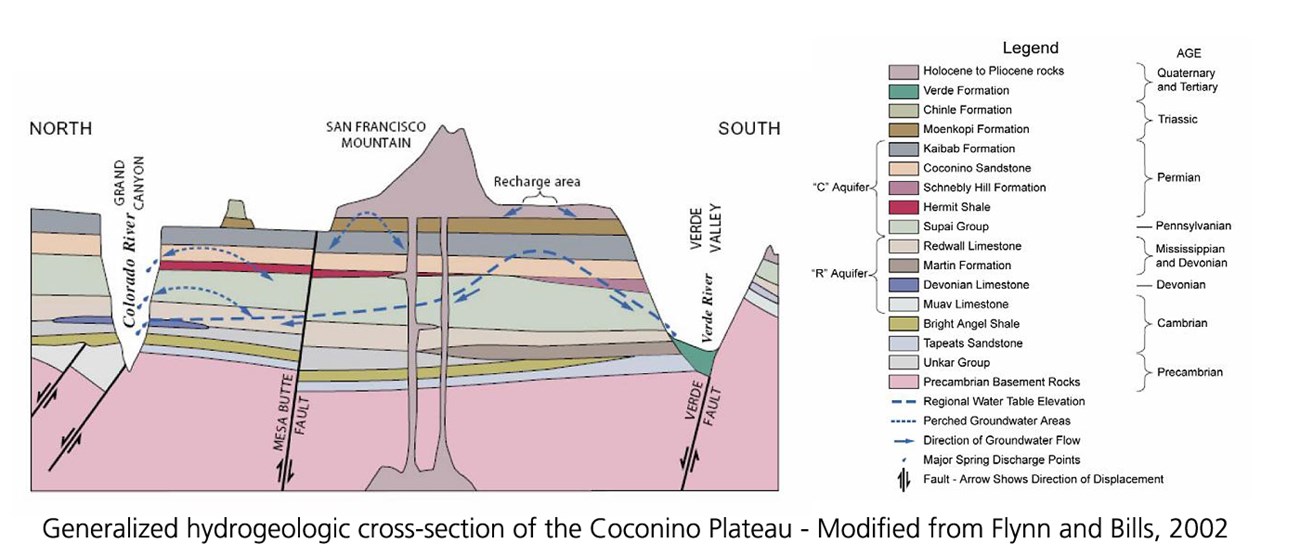 hydrogeologic diagram of cross-section of the Coconino Plateau showing the water table in relation to the various rock layers within Grand Canyon.