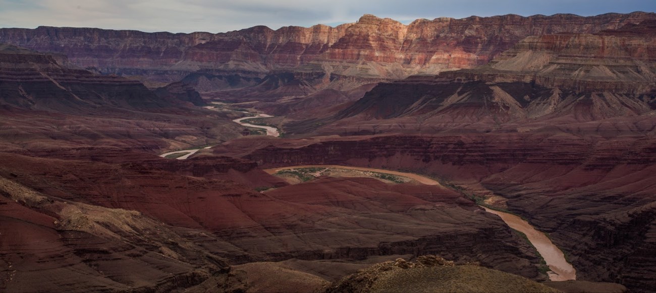 The Colorado River flowing through the Grand Canyon