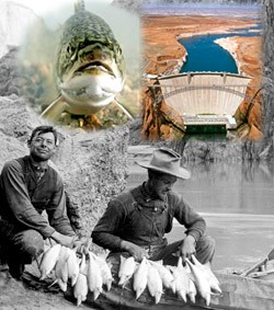 Trout - AZ Game and fish, Glen Canyon Dam - BOR, 2 men with string of chub 1911, Rust Collection