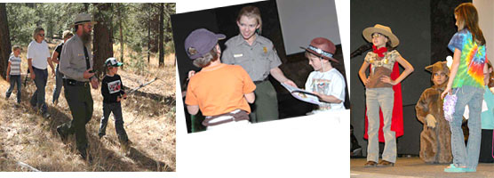 Activities and programs during Wildlife Day.