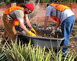 The amount of work that the students accomplished during their spring break here in the park was incredible.