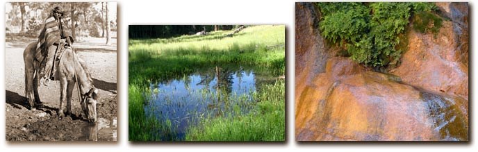Three photos. From left to right: an American Indain watering his horse at a spring, Kanabownits Spring, a small spring with some ferns; part of the rock is wet.