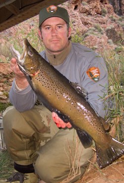 large trout from Bright Angel Creek