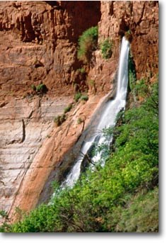 Vasey's Paradise - water gushing out of a rock wall