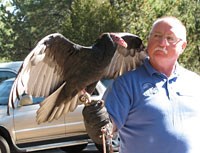 Edwina, a turkey vulture and volunteer from Adobe Mountain Wildlife Center