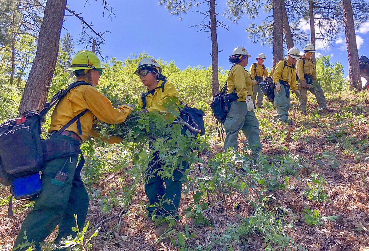 Women wildland firefighters stand in a line clearing brush.